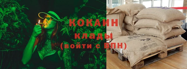 ешки Алексин