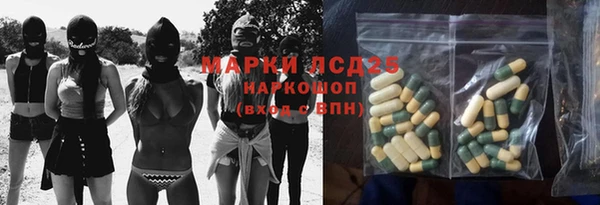 ешки Алексин