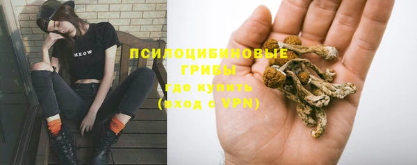 ПСИЛОЦИБИНОВЫЕ ГРИБЫ Алзамай