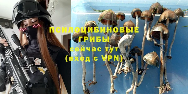 ПСИЛОЦИБИНОВЫЕ ГРИБЫ Алзамай