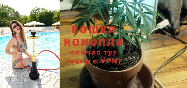 ешки Алексин