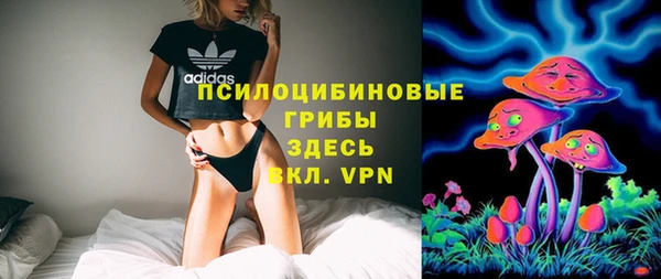 ПСИЛОЦИБИНОВЫЕ ГРИБЫ Алзамай