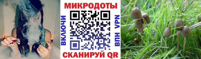 Галлюциногенные грибы MAGIC MUSHROOMS  Лабытнанги 